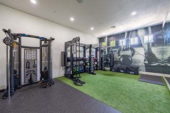 a home gym with weights and equipment on a green rug